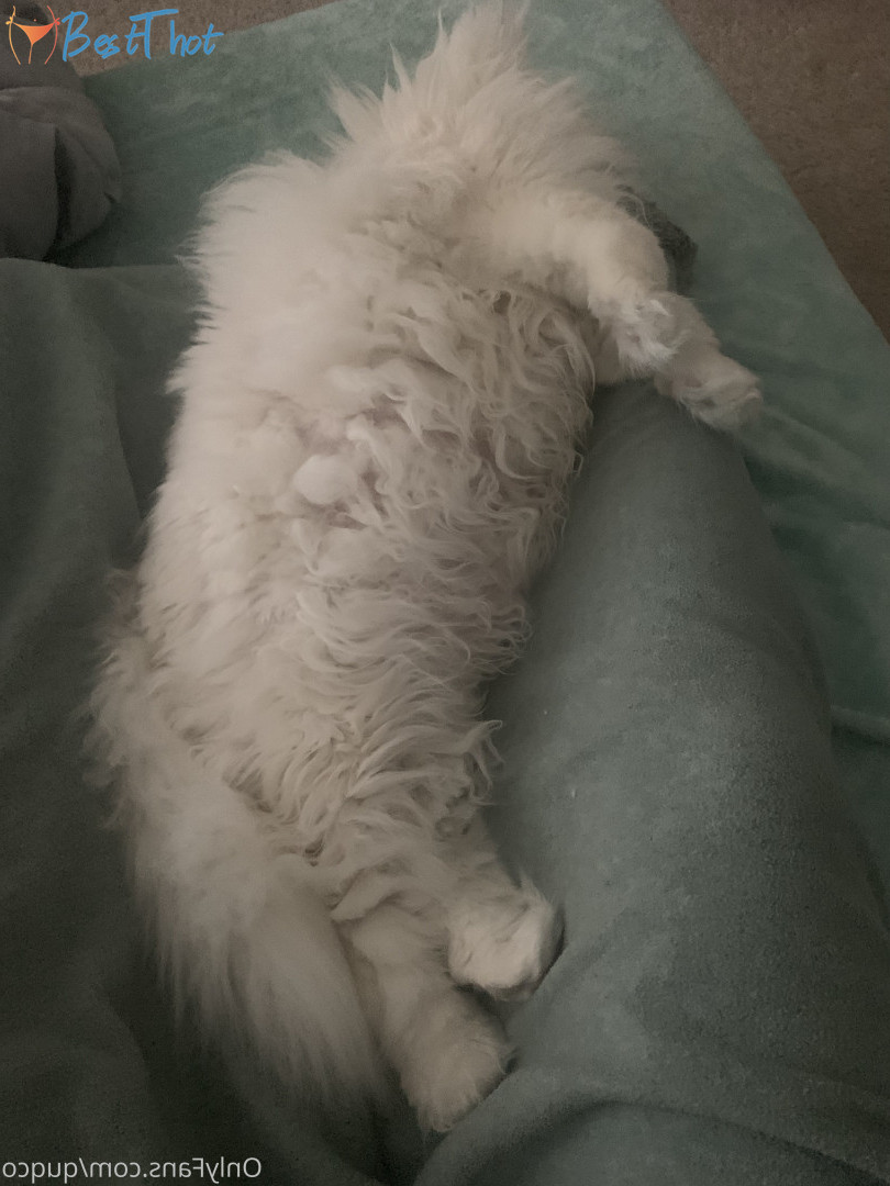 Photo by quqco published on December 12,2024 10:06:44 - BestThots