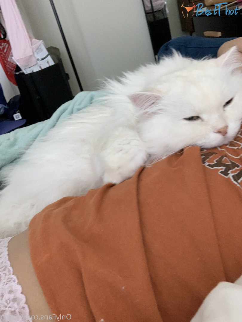 Photo by quqco published on December 12,2024 10:06:47 - BestThots