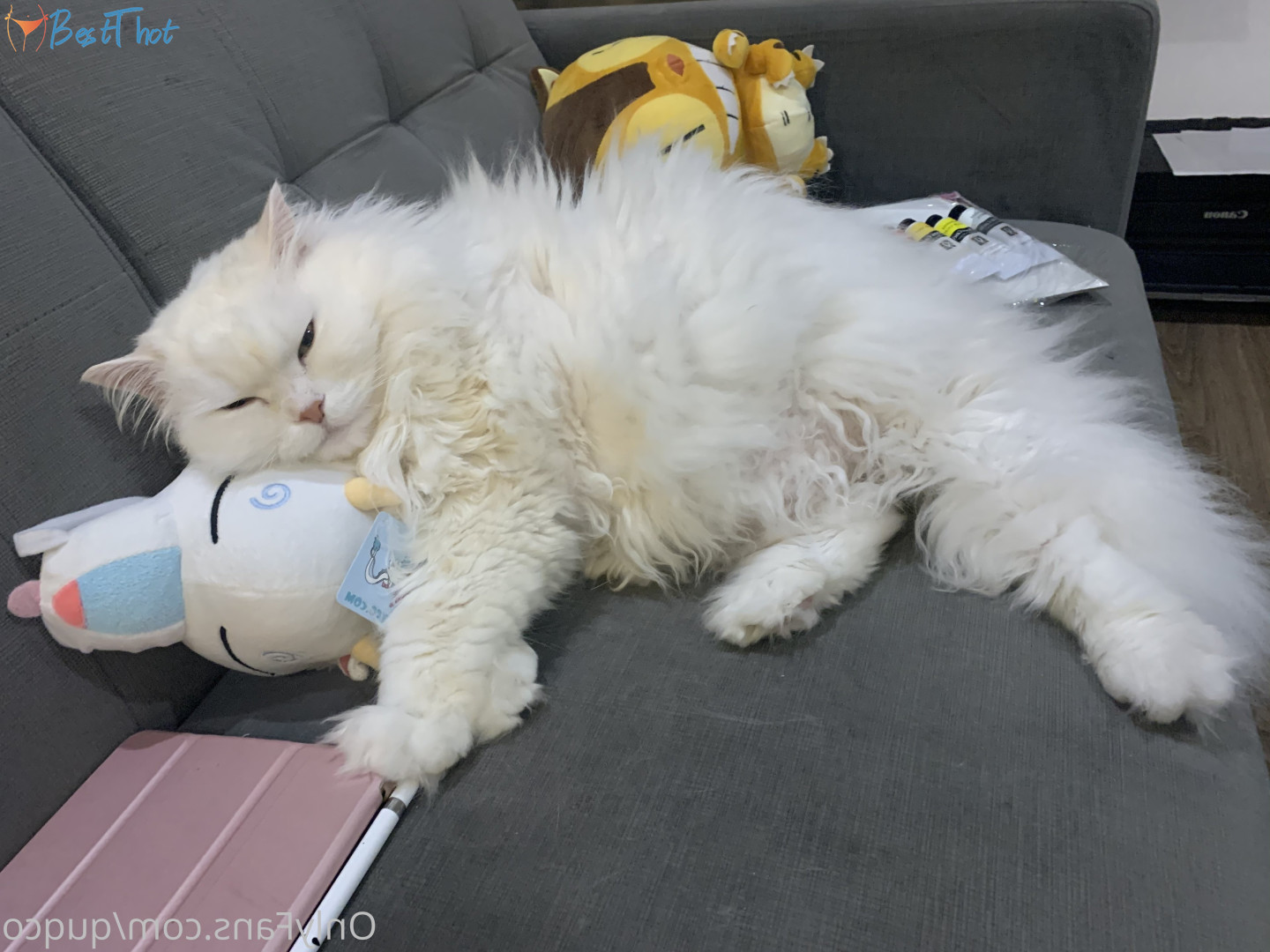 Photo by quqco published on December 12,2024 10:06:54 - BestThots