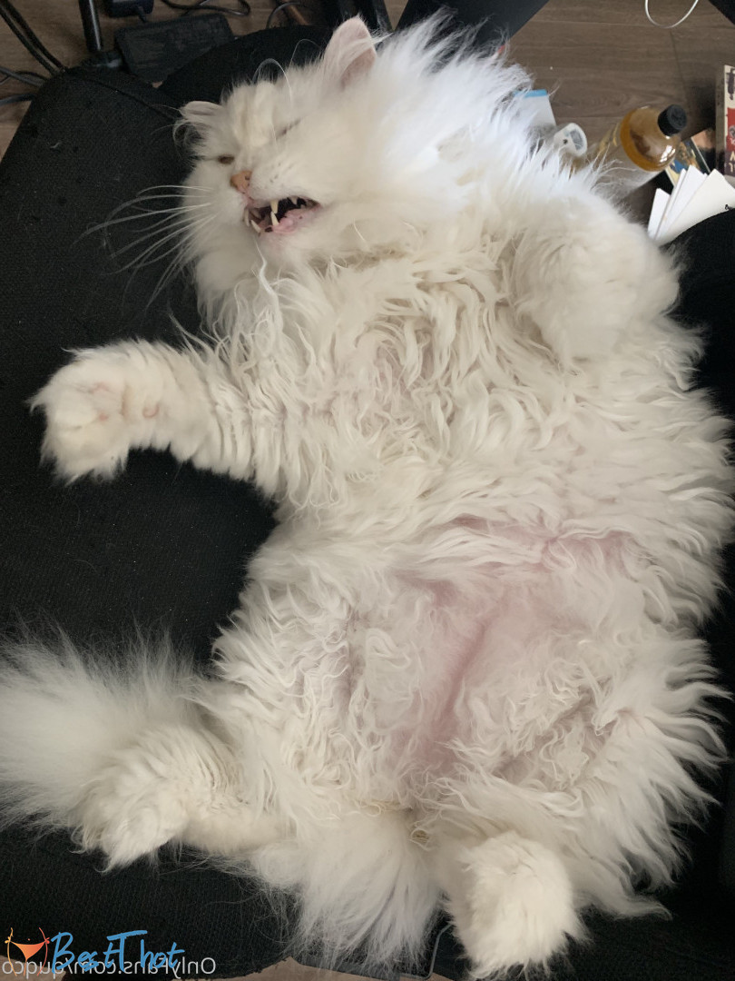 Photo by quqco published on December 12,2024 10:06:54 - BestThots