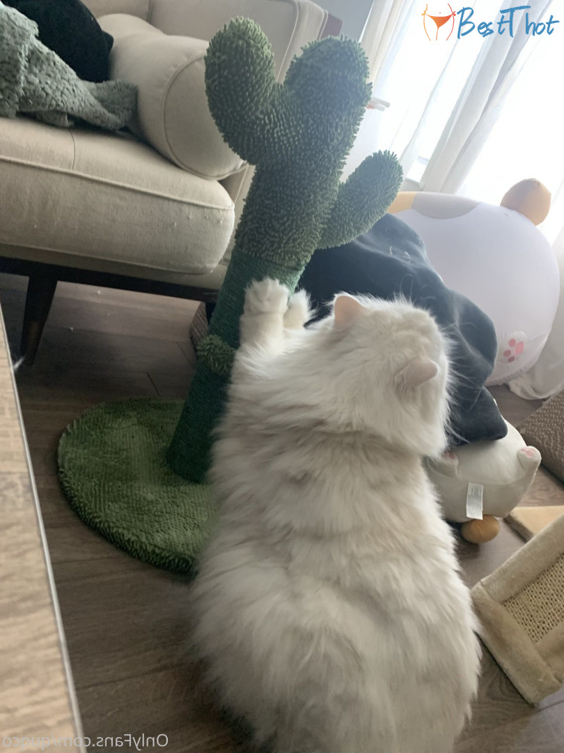 Photo by quqco published on December 12,2024 10:06:59 - BestThots