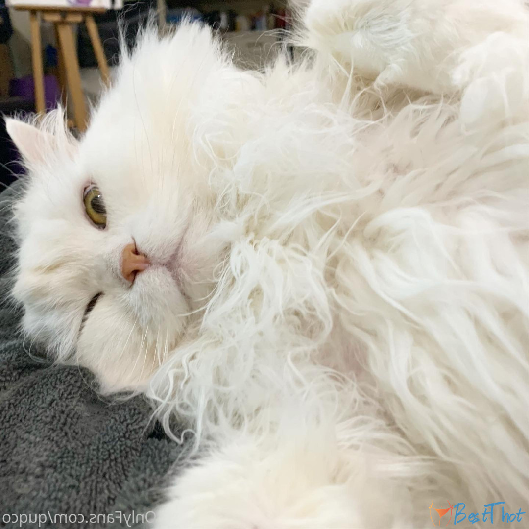 Photo by quqco published on December 12,2024 10:07:05 - BestThots