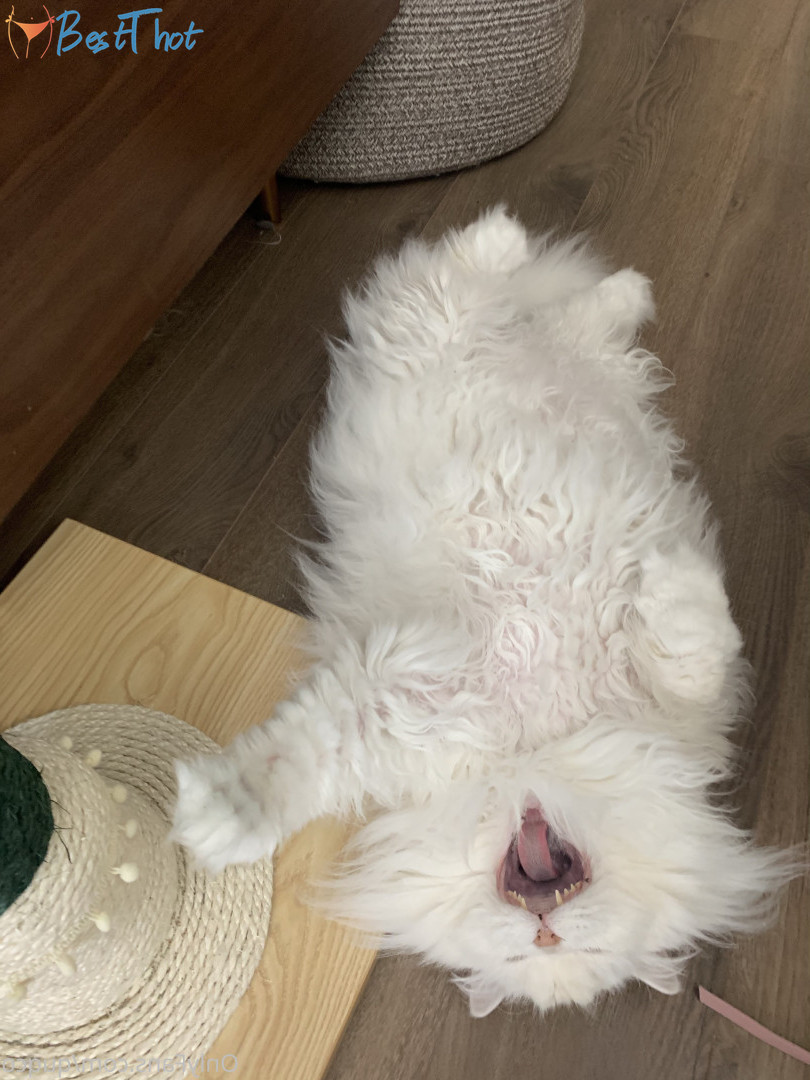 Photo by quqco published on December 12,2024 10:07:09 - BestThots