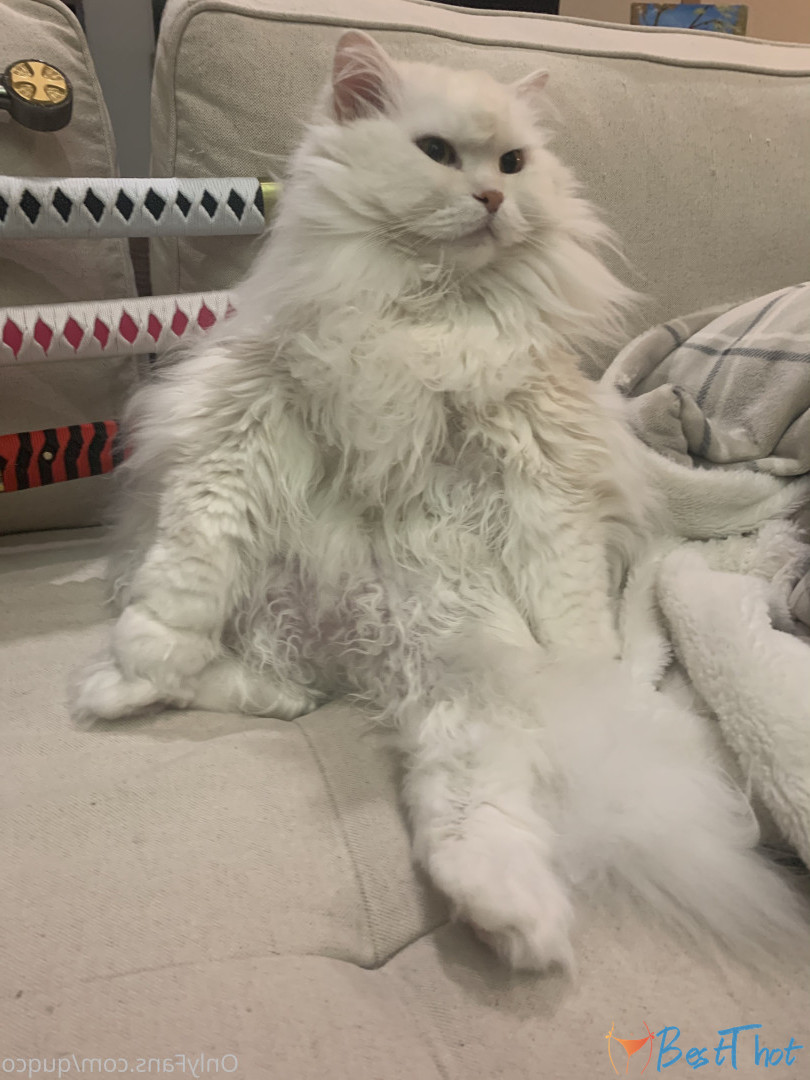 Photo by quqco published on December 12,2024 10:07:12 - BestThots