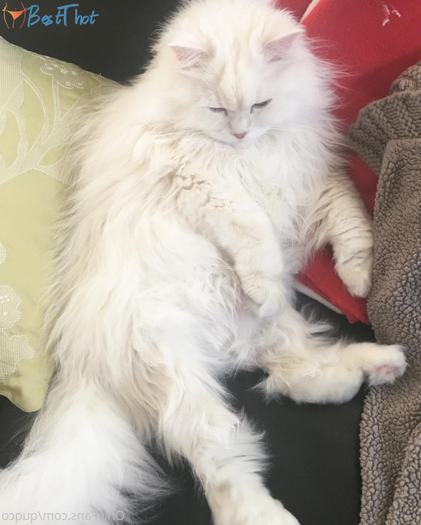 Photo by quqco published on December 12,2024 10:07:16 - BestThots