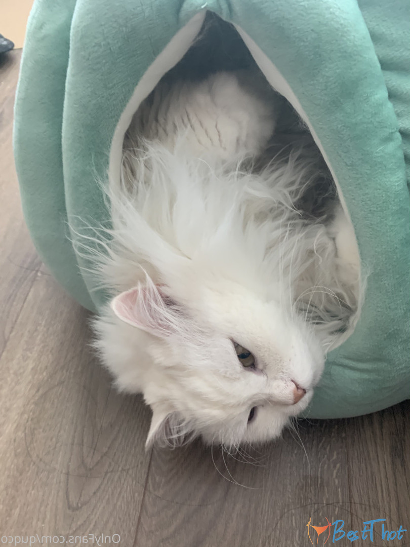 Photo by quqco published on December 12,2024 10:07:18 - BestThots