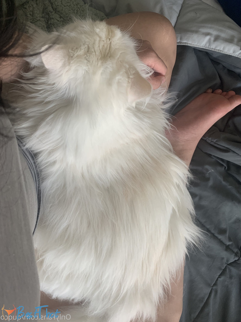 Photo by quqco published on December 12,2024 10:07:19 - BestThots