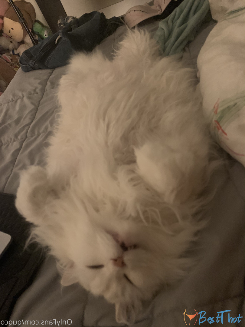 Photo by quqco published on December 12,2024 10:07:24 - BestThots