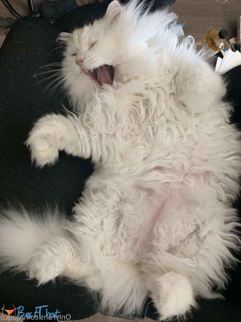 Photo by quqco published on December 12,2024 10:07:27 - BestThots