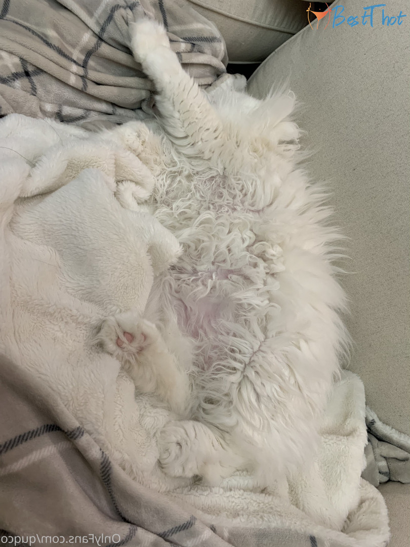 Photo by quqco published on December 12,2024 10:07:28 - BestThots