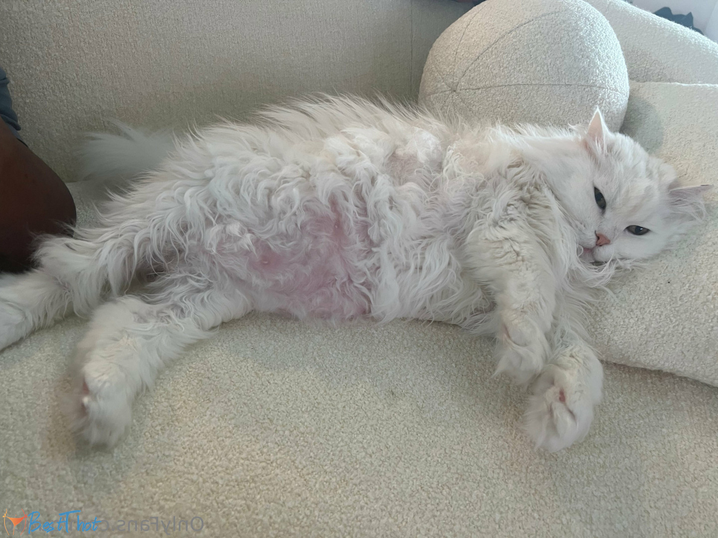 Photo by quqco published on December 12,2024 10:07:35 - BestThots