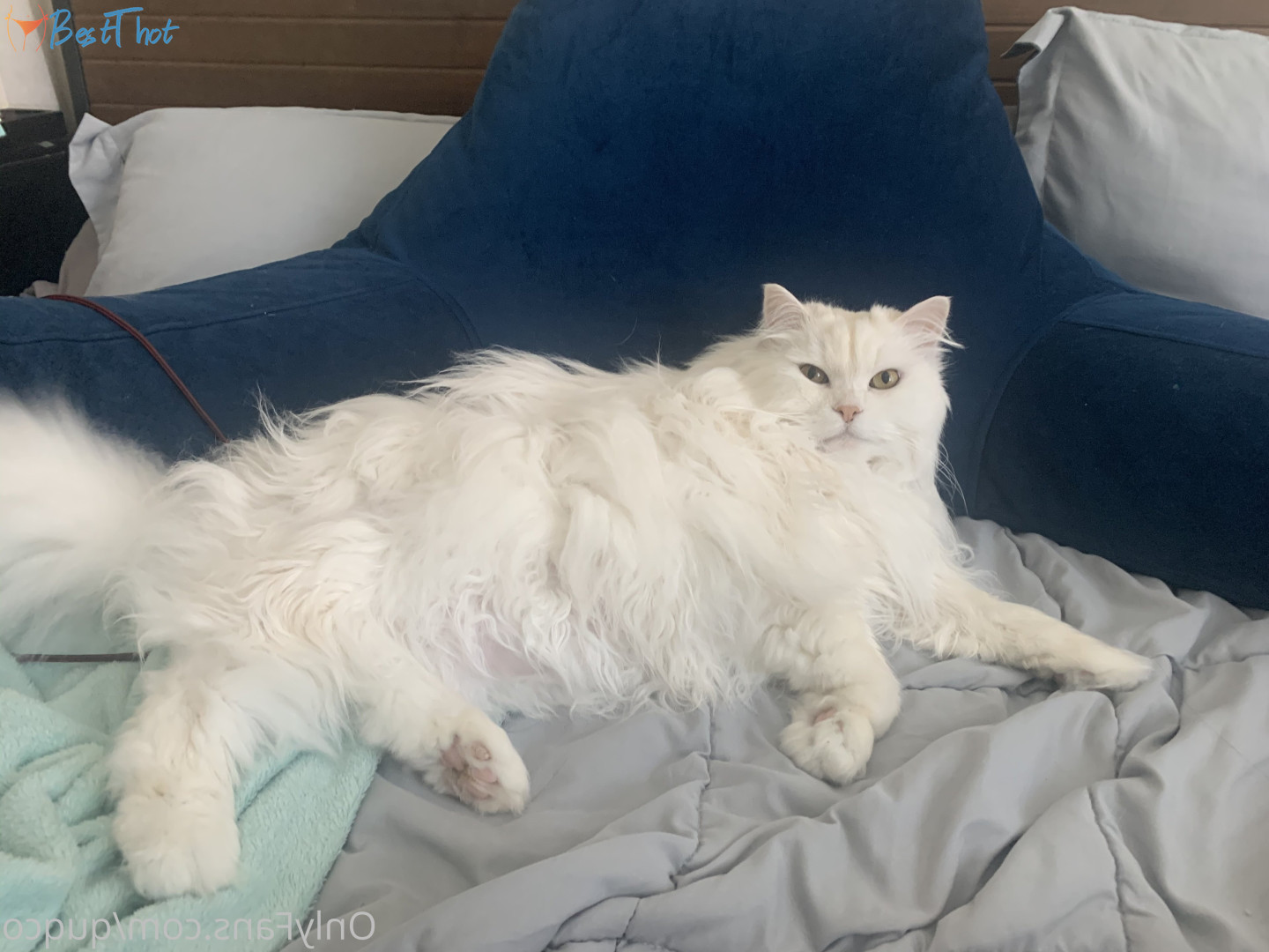 Photo by quqco published on December 12,2024 10:07:50 - BestThots