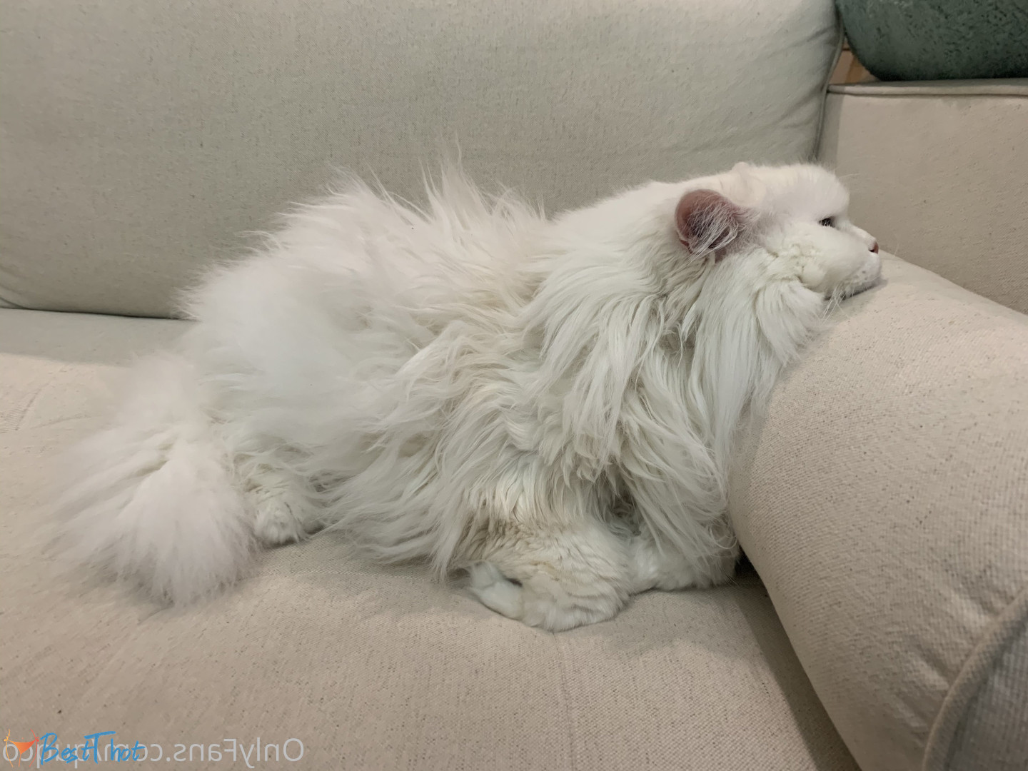 Photo by quqco published on December 12,2024 10:07:51 - BestThots