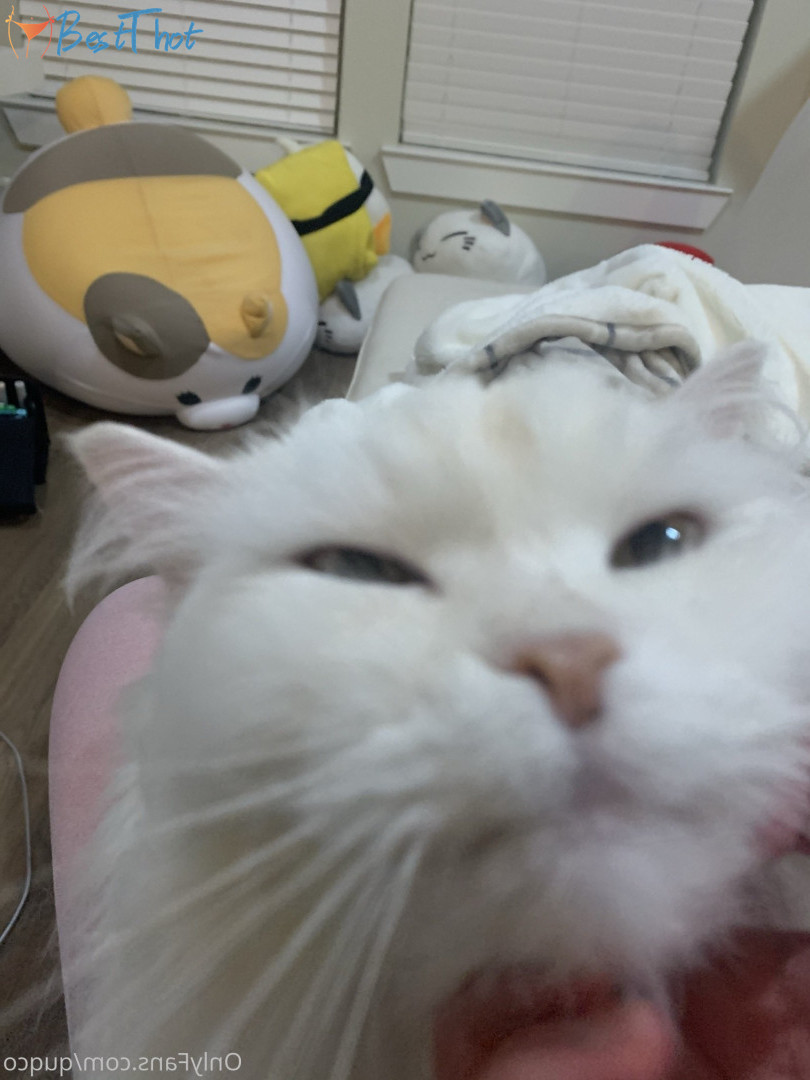 Photo by quqco published on December 12,2024 10:07:54 - BestThots