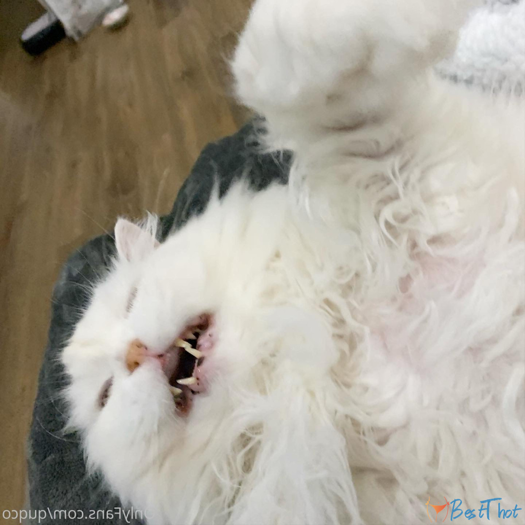 Photo by quqco published on December 12,2024 10:07:59 - BestThots