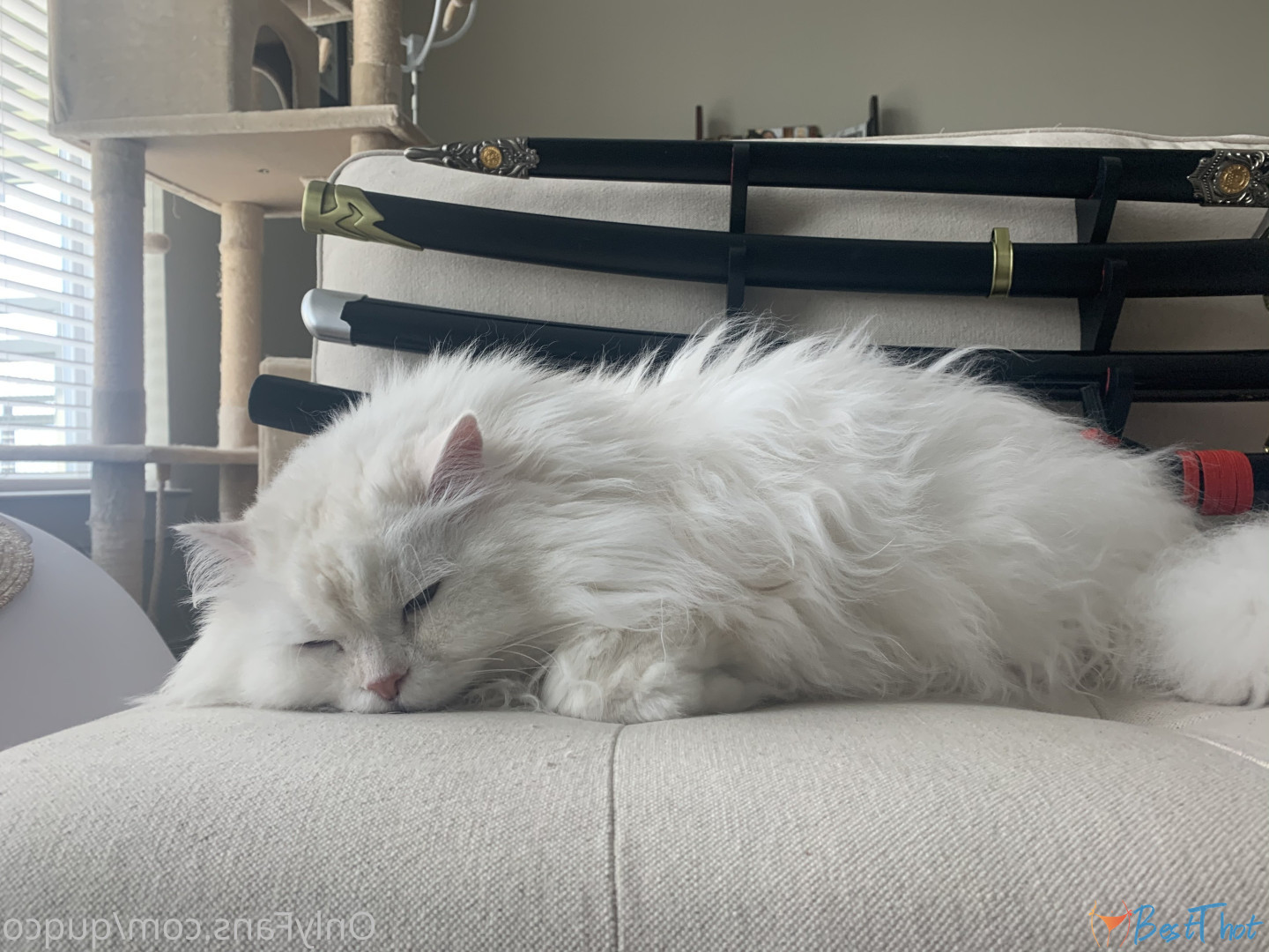 Photo by quqco published on December 12,2024 10:08:03 - BestThots