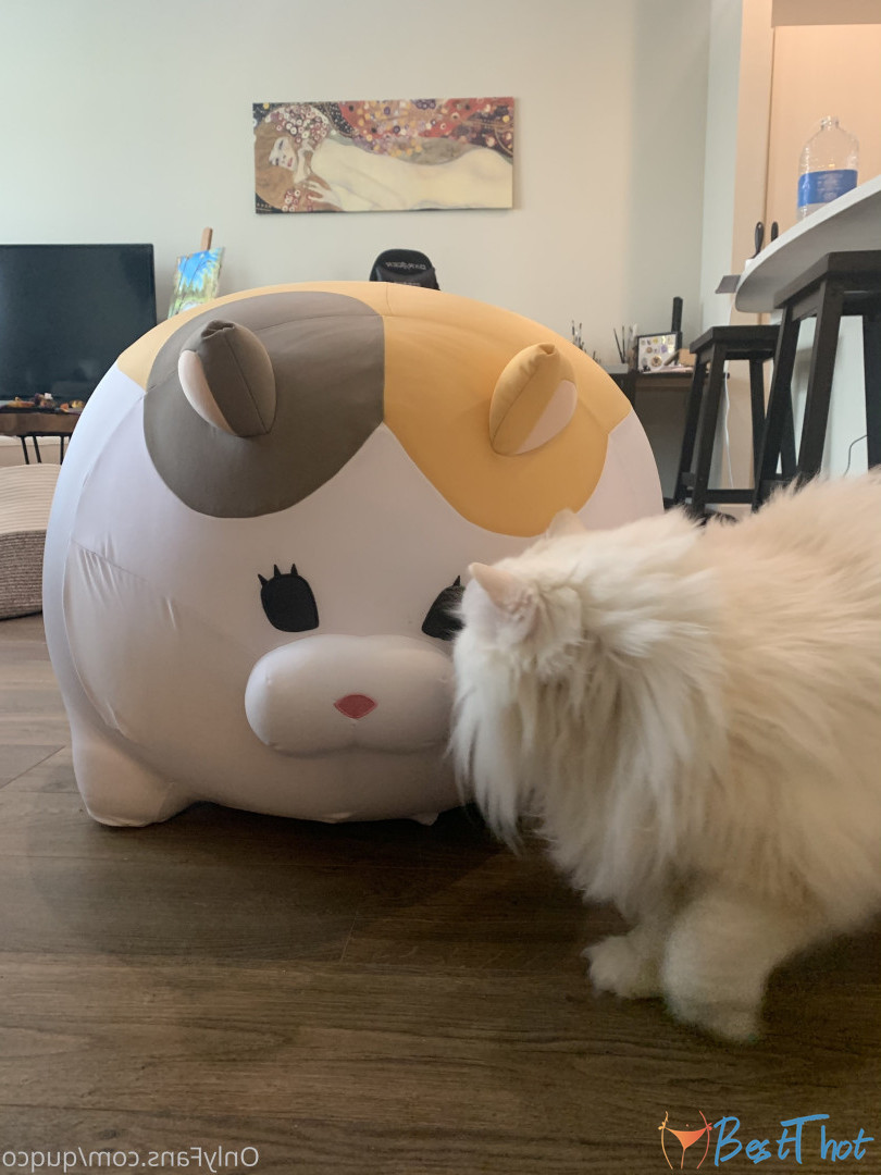 Photo by quqco published on December 12,2024 10:08:03 - BestThots