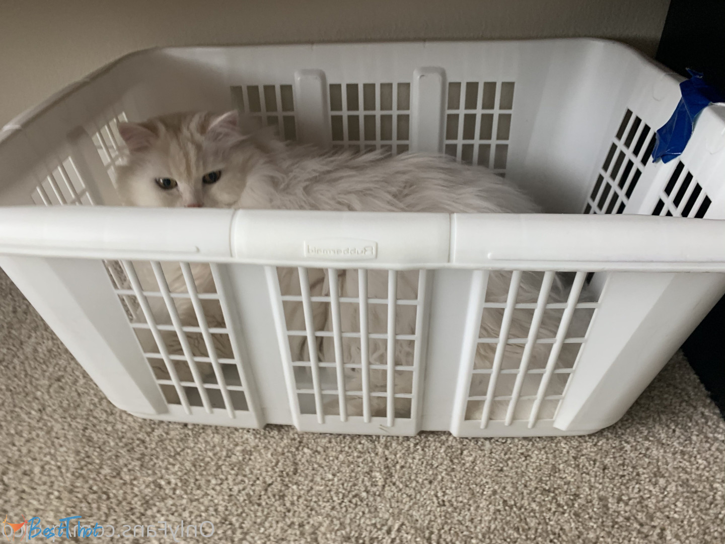 Photo by quqco published on December 12,2024 10:08:05 - BestThots