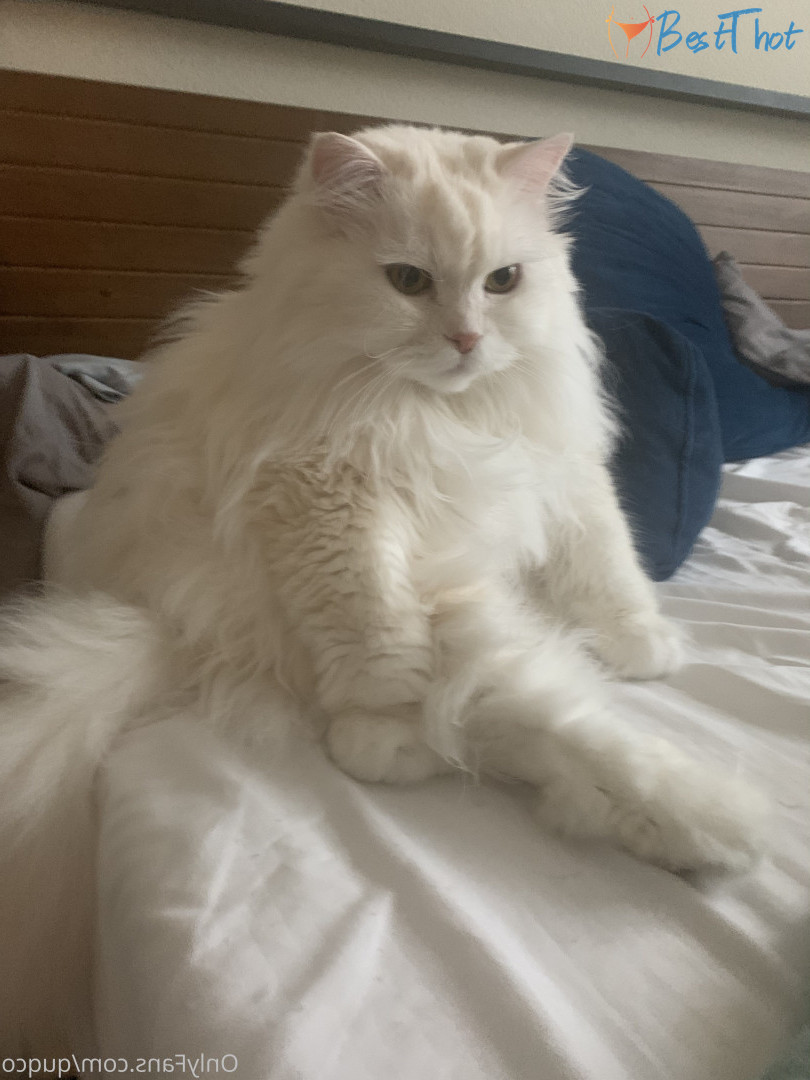 Photo by quqco published on December 12,2024 10:08:08 - BestThots