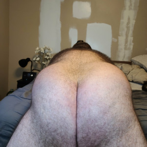 thestraightteddybearfree #103736