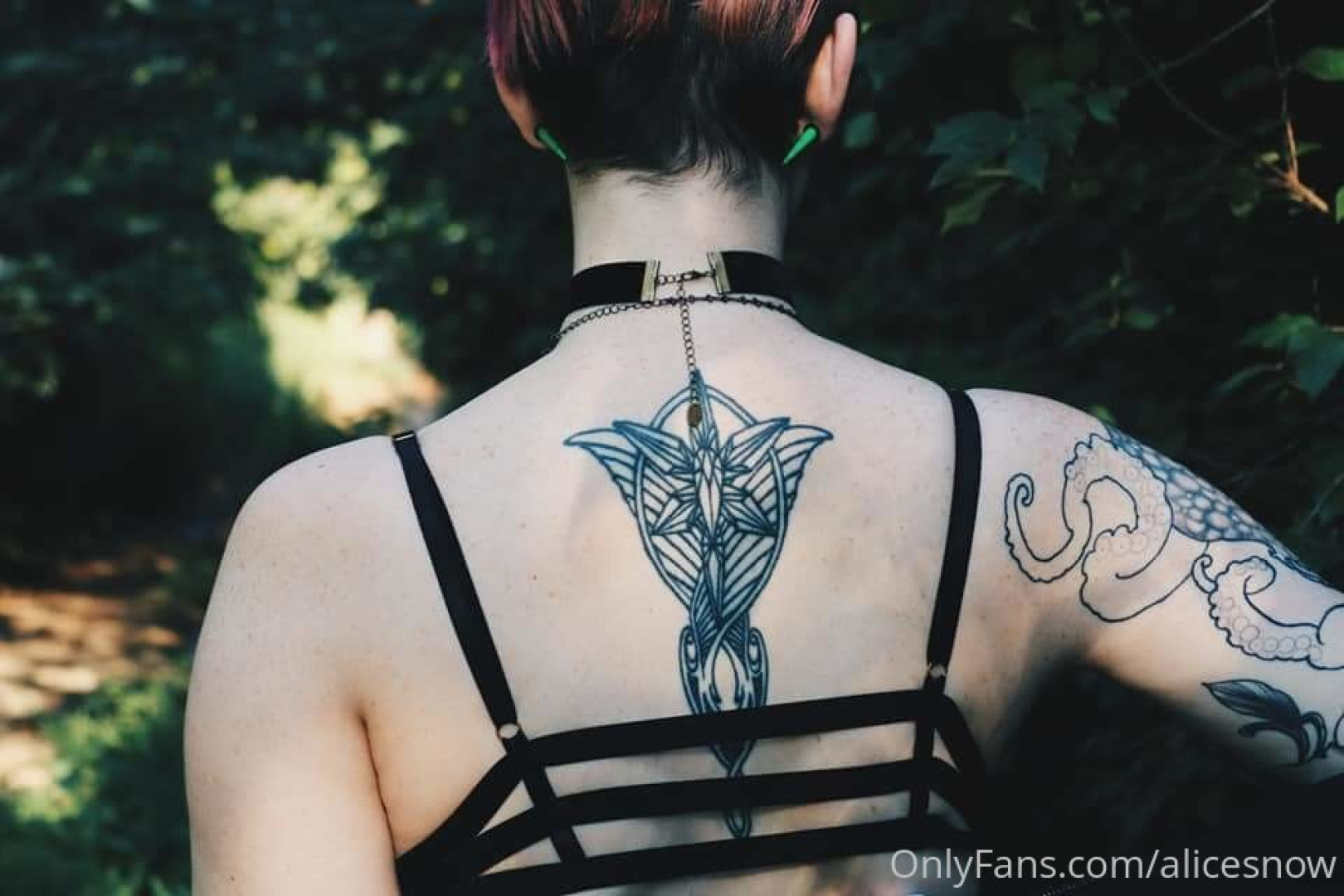 Photo by alicesnow published on October 16,2023 14:56:29 - BestThots