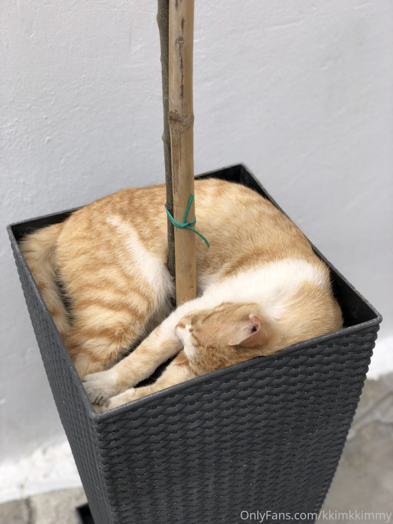 Photo by kkimkkimmy published on October 16,2023 18:50:40 - BestThots