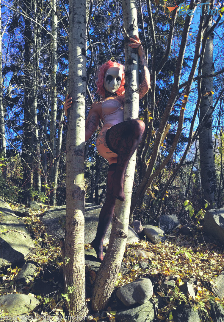 Photo by mountainsiren published on December 20,2024 05:09:41 - BestThots