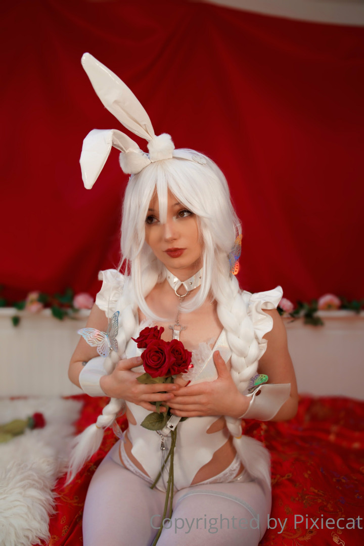 Photo by pixiecat published on October 16,2023 20:46:21 - BestThots