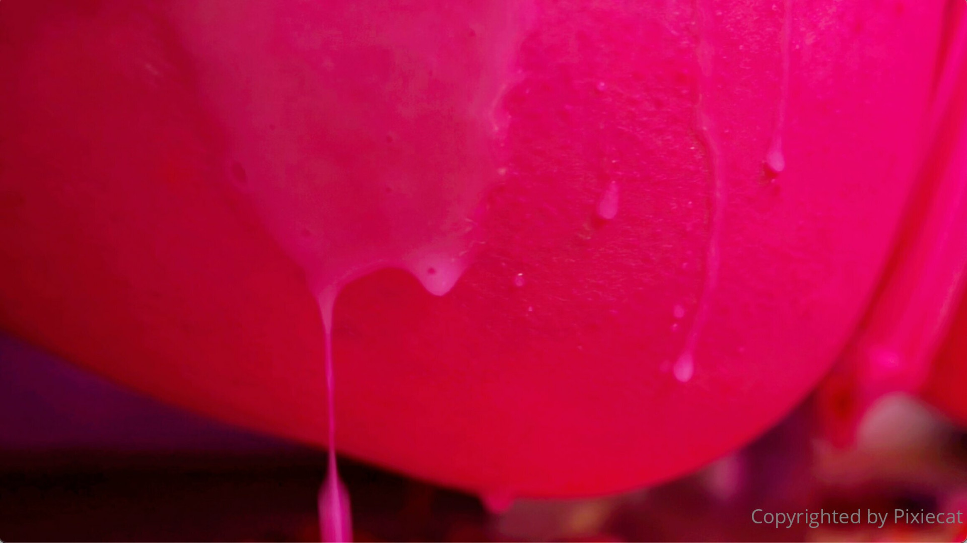 Photo by pixiecat published on October 16,2023 21:20:02 - BestThots