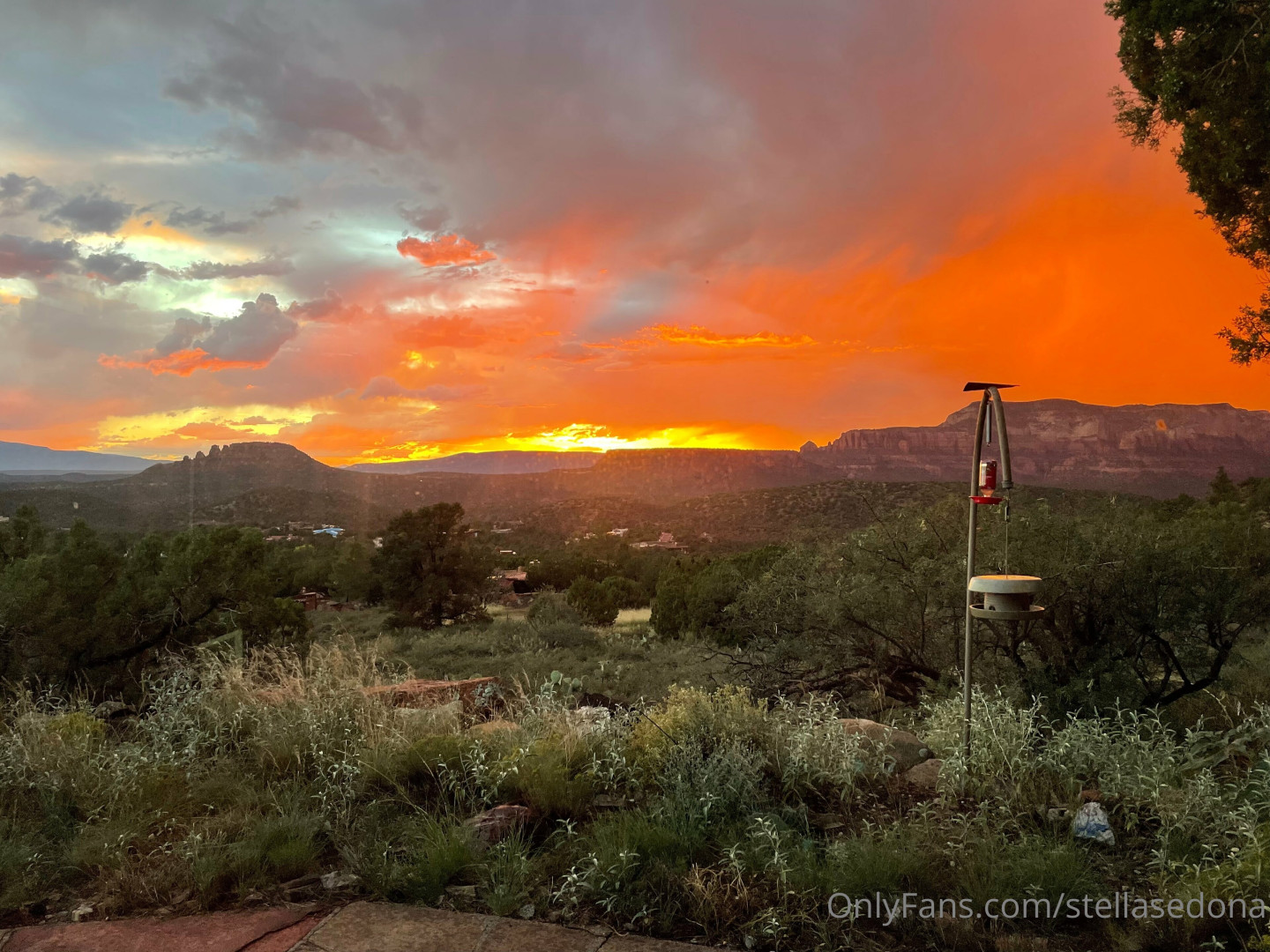 Photo by stellasedona published on May 17,2023 15:17:35 - BestThots