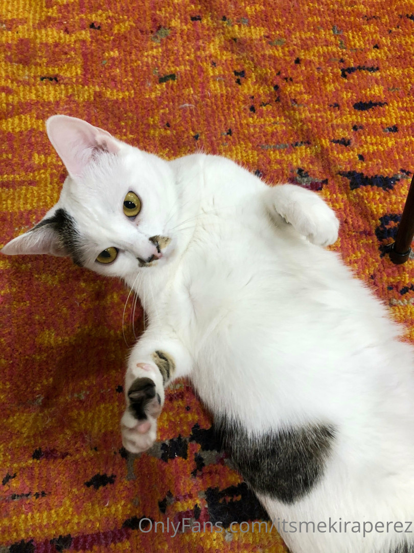 Photo by itsmekiraperez published on June 9,2023 00:52:40 - BestThots