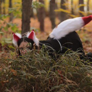 b-kitty #8651090