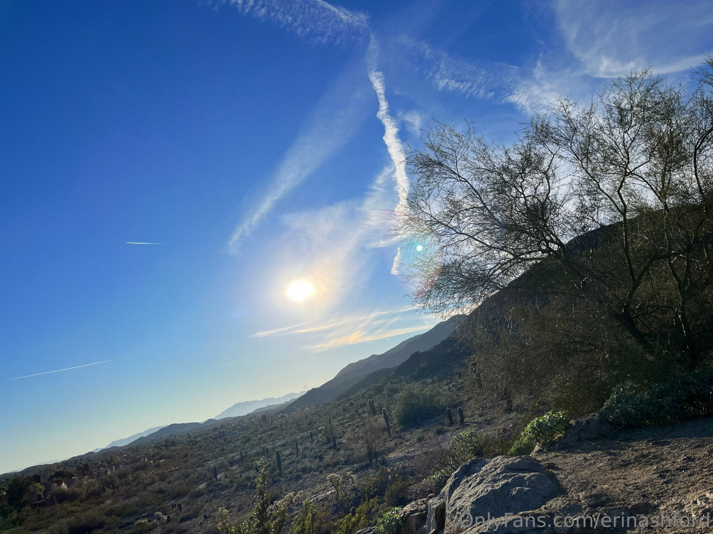 Photo by erinashford published on October 24,2023 21:23:17 - BestThots