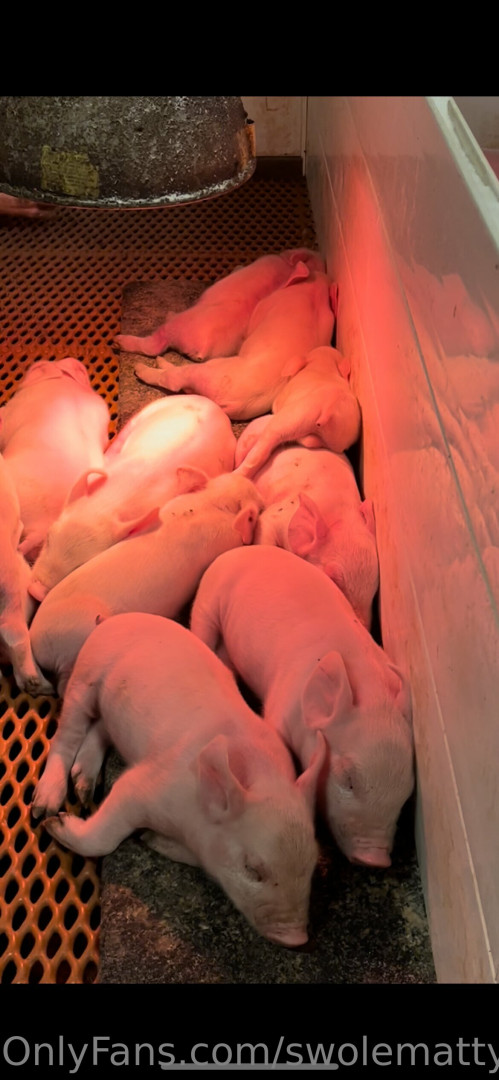 Photo by swolemattyy published on May 17,2023 09:53:15 - BestThots