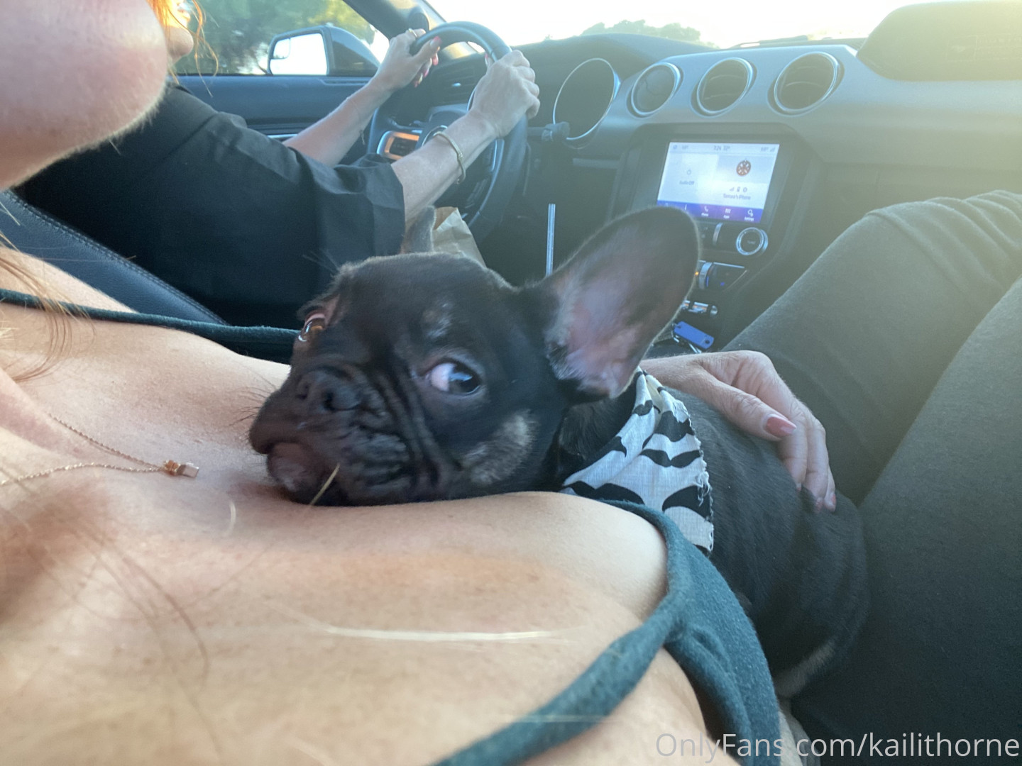 Photo by kailithorne published on August 30,2023 09:27:05 - BestThots