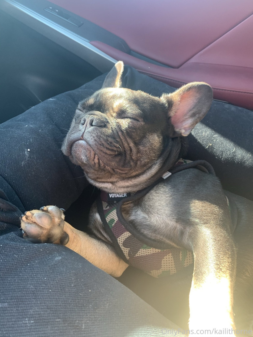 Photo by kailithorne published on August 30,2023 12:27:17 - BestThots