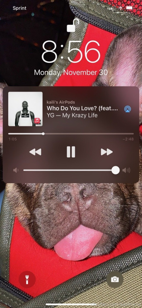 Photo by kailithorne published on August 30,2023 12:50:07 - BestThots