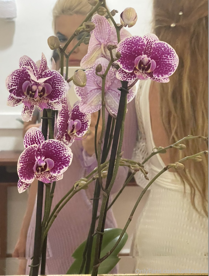 Photo by kailithorne published on August 30,2023 14:11:17 - BestThots