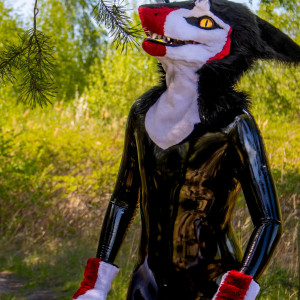 sergnderg #2240158
