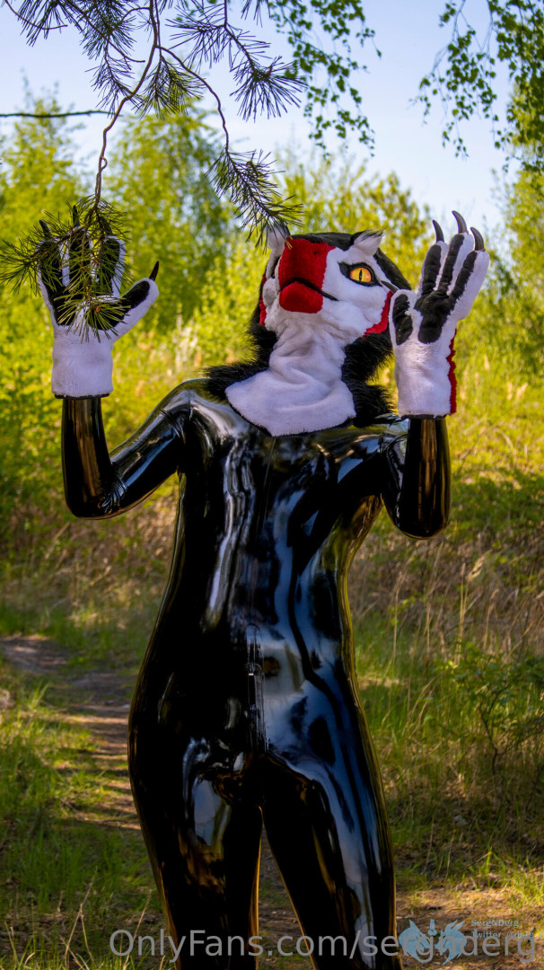 Photo by sergnderg published on July 4,2023 05:42:01 - BestThots