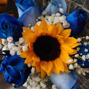 honey_and_b #6820152