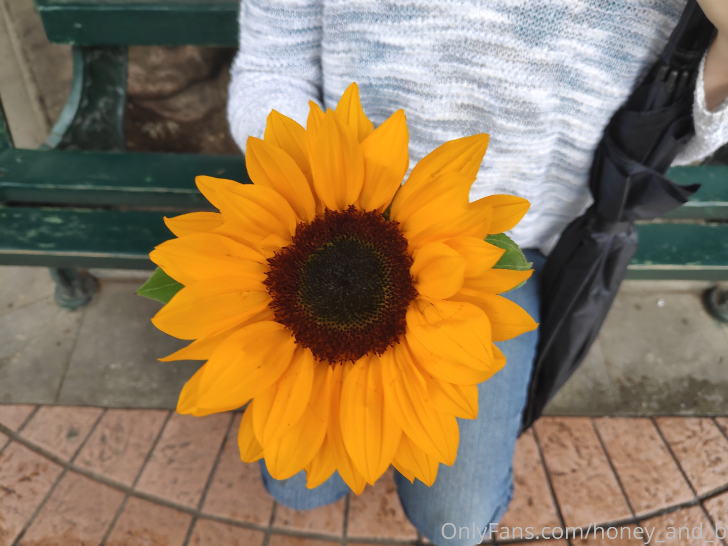 Photo by honey_and_b published on October 16,2023 03:04:02 - BestThots