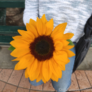 honey_and_b #6821636