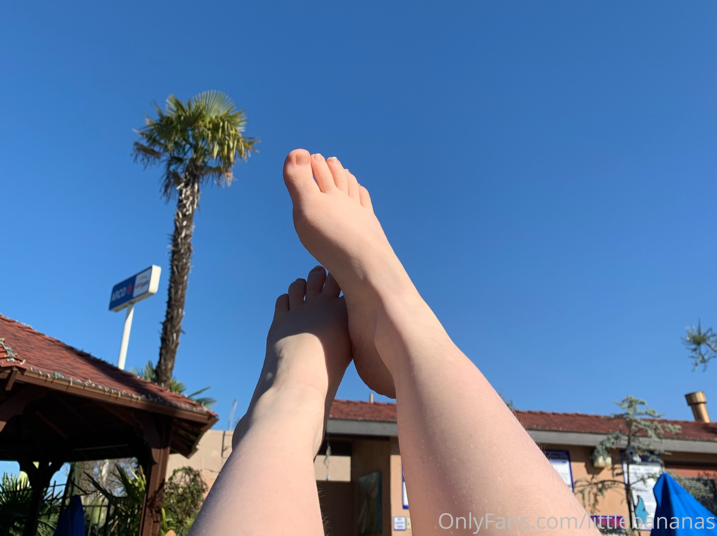 Photo by nikkilafae published on August 19,2023 00:29:37 - BestThots