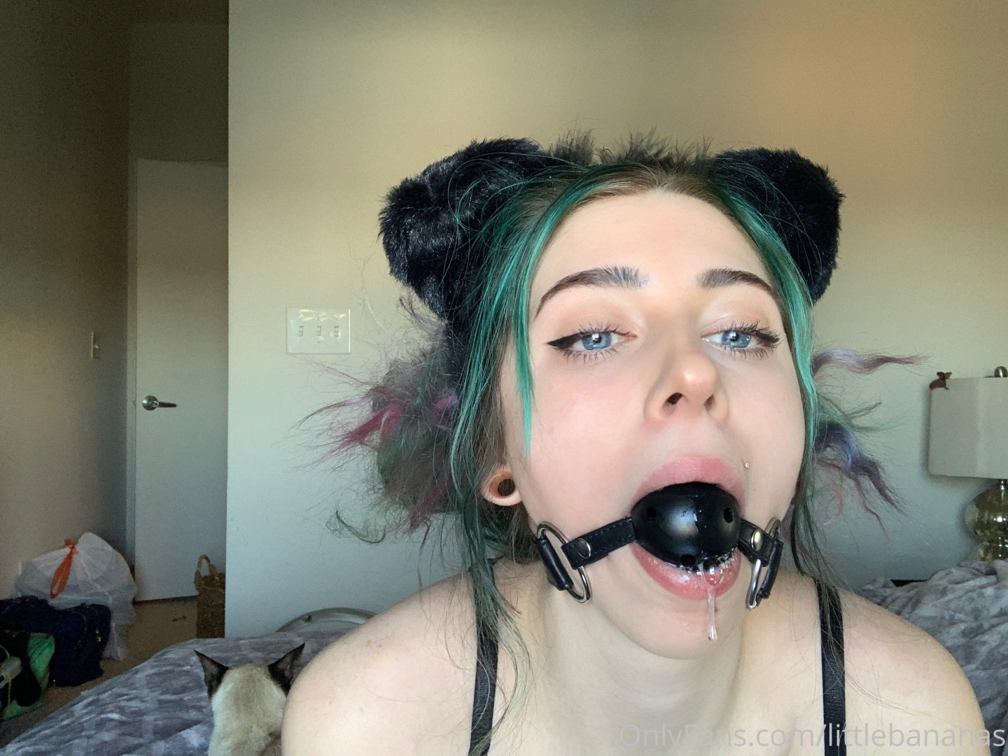 Photo by nikkilafae published on August 19,2023 00:42:41 - BestThots