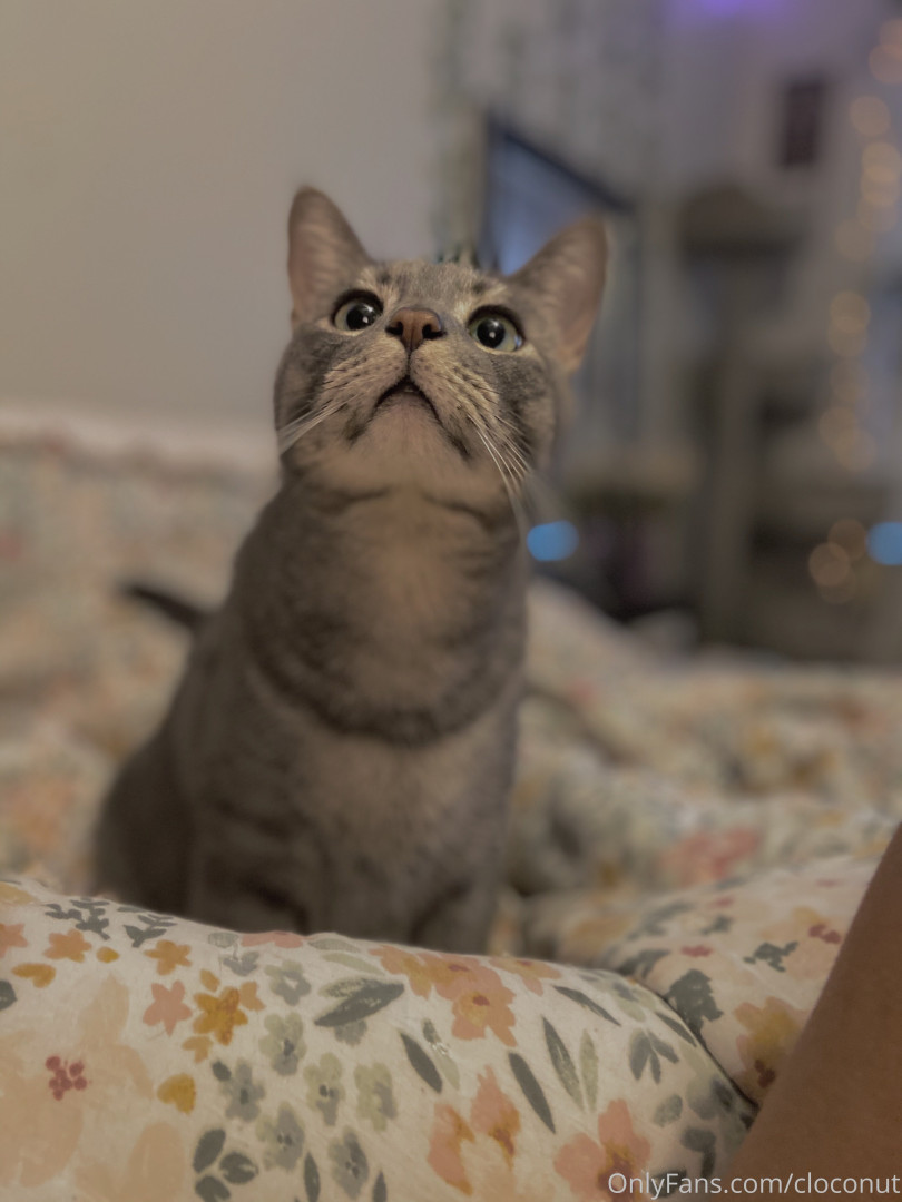 Photo by cloconut published on January 11,2024 08:19:25 - BestThots