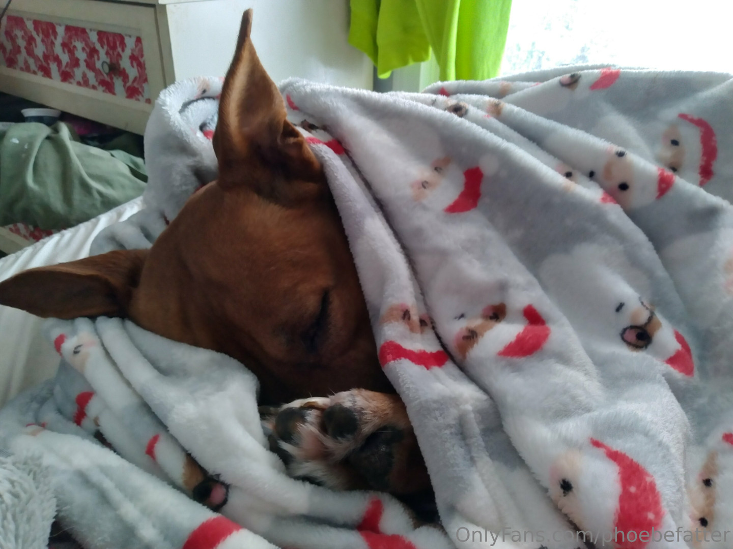 Photo by phoebefatter published on June 22,2023 18:10:34 - BestThots