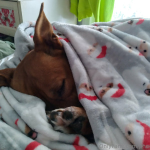 phoebefatter #1880792