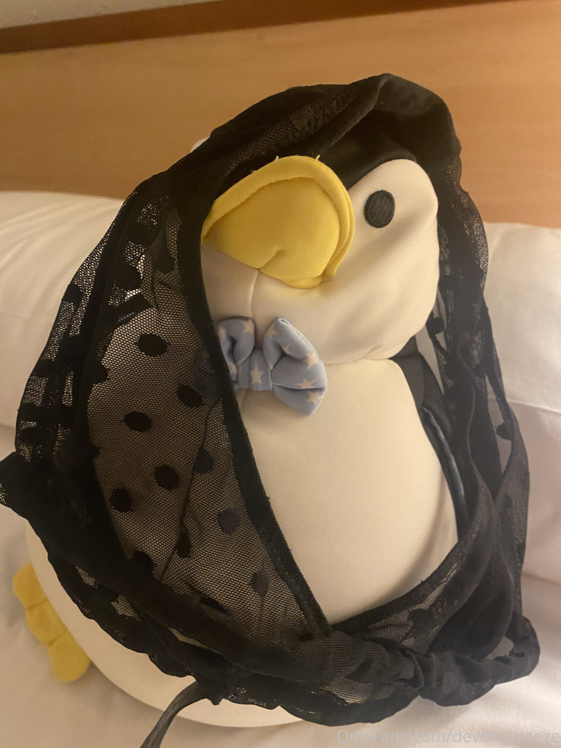 Photo by devon_breeze published on January 14,2024 08:16:47 - BestThots