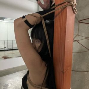 vanessxo #3152578